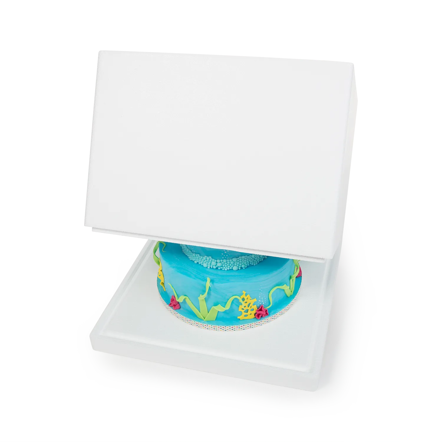 Tortenbox 48,0 Liter_HH002001_