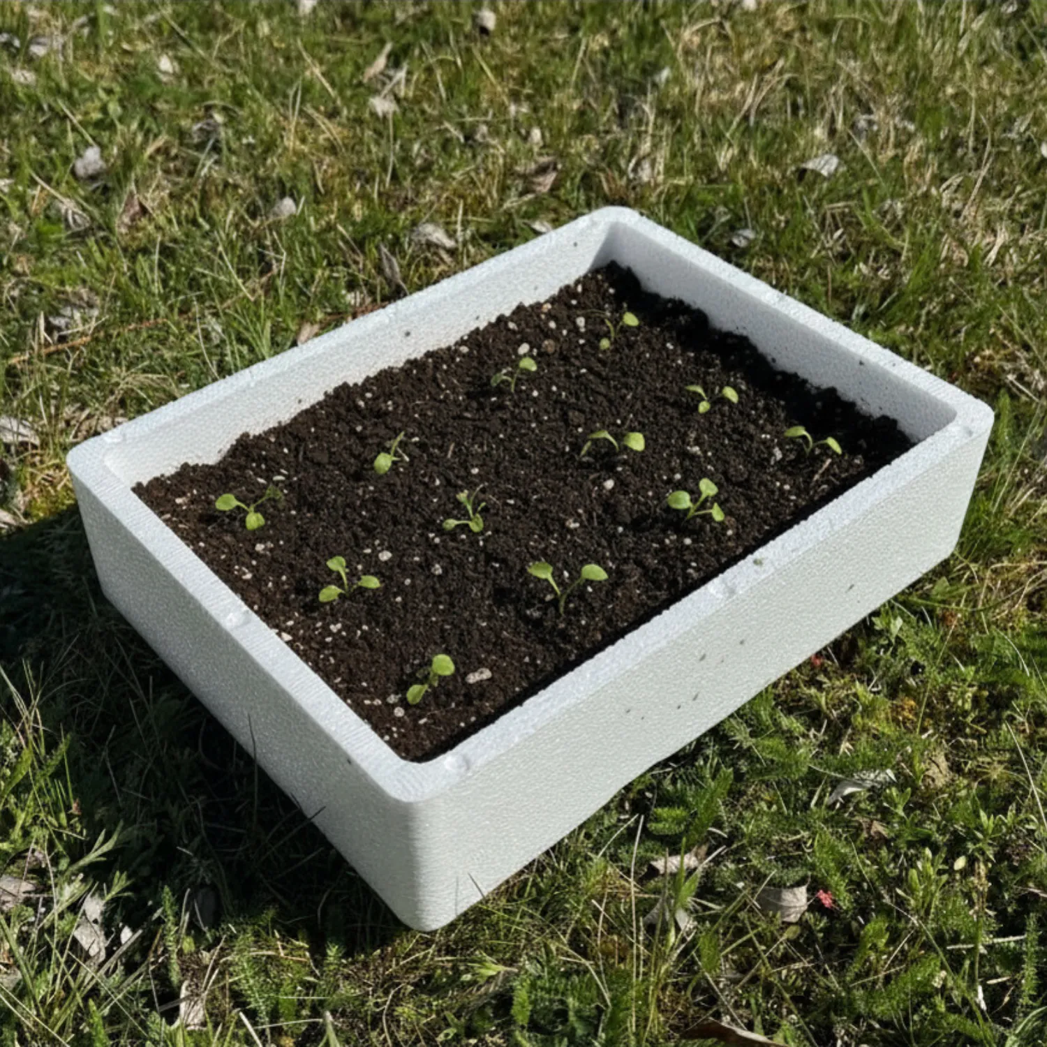Aussaatkisten 3er Pack_HH003001_